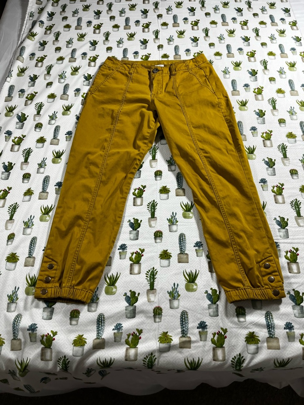 CAbi The Tracker Women’s Jogger style pants size 4 snap ankle